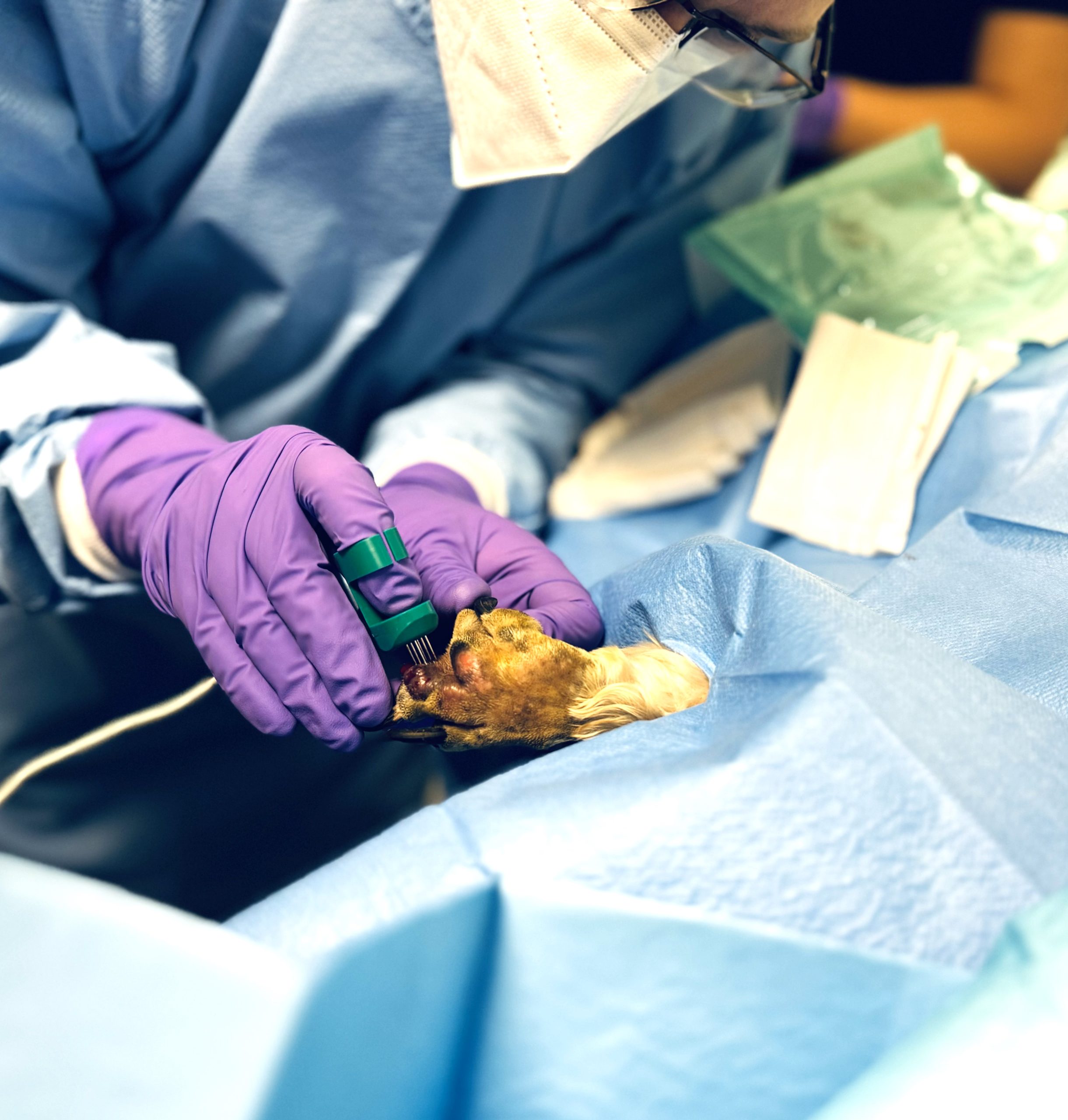 Sarcoma Awareness Month: How Are Sarcomas Treated?