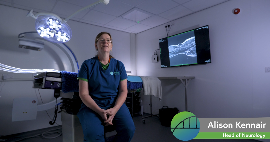 Neurology at Bridge Referrals