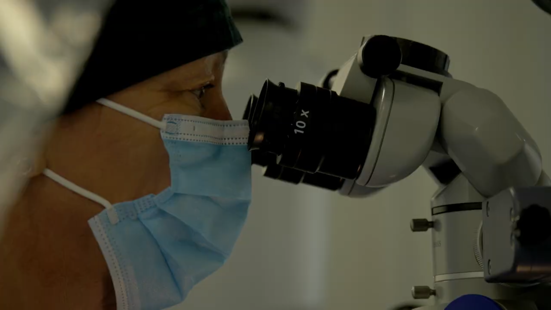 Seeing the Future: Veterinary Ophthalmology at Bridge Referrals