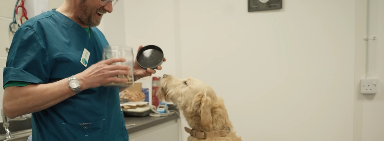 Inside Cardiology at Bridge Referrals with Karl Bovenizer