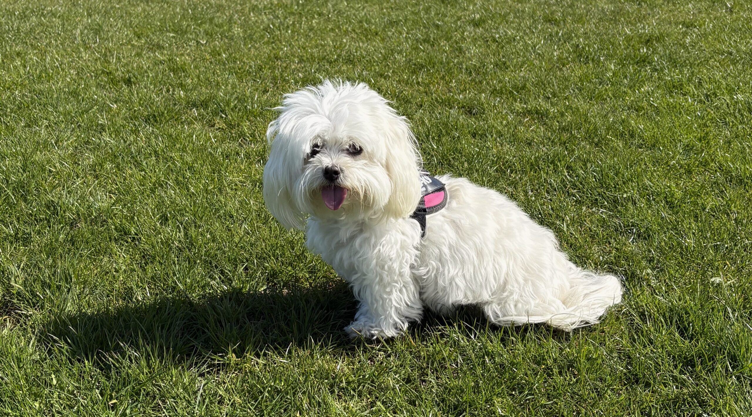 Myla’s Story: The Importance of Prompt Action in Suspected Medication Overdose